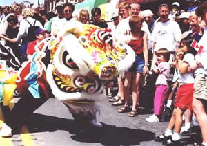 lion